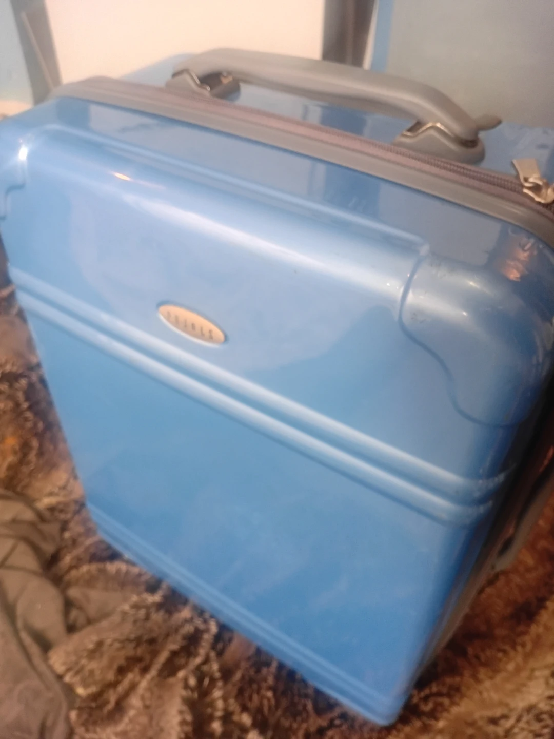 Blue Luggage, 18 " Spinner  Suitcase