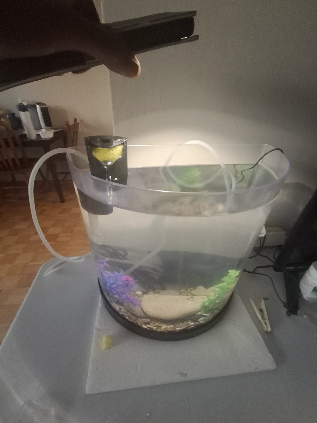 Small Desktop Aquarium Kit - photo 2