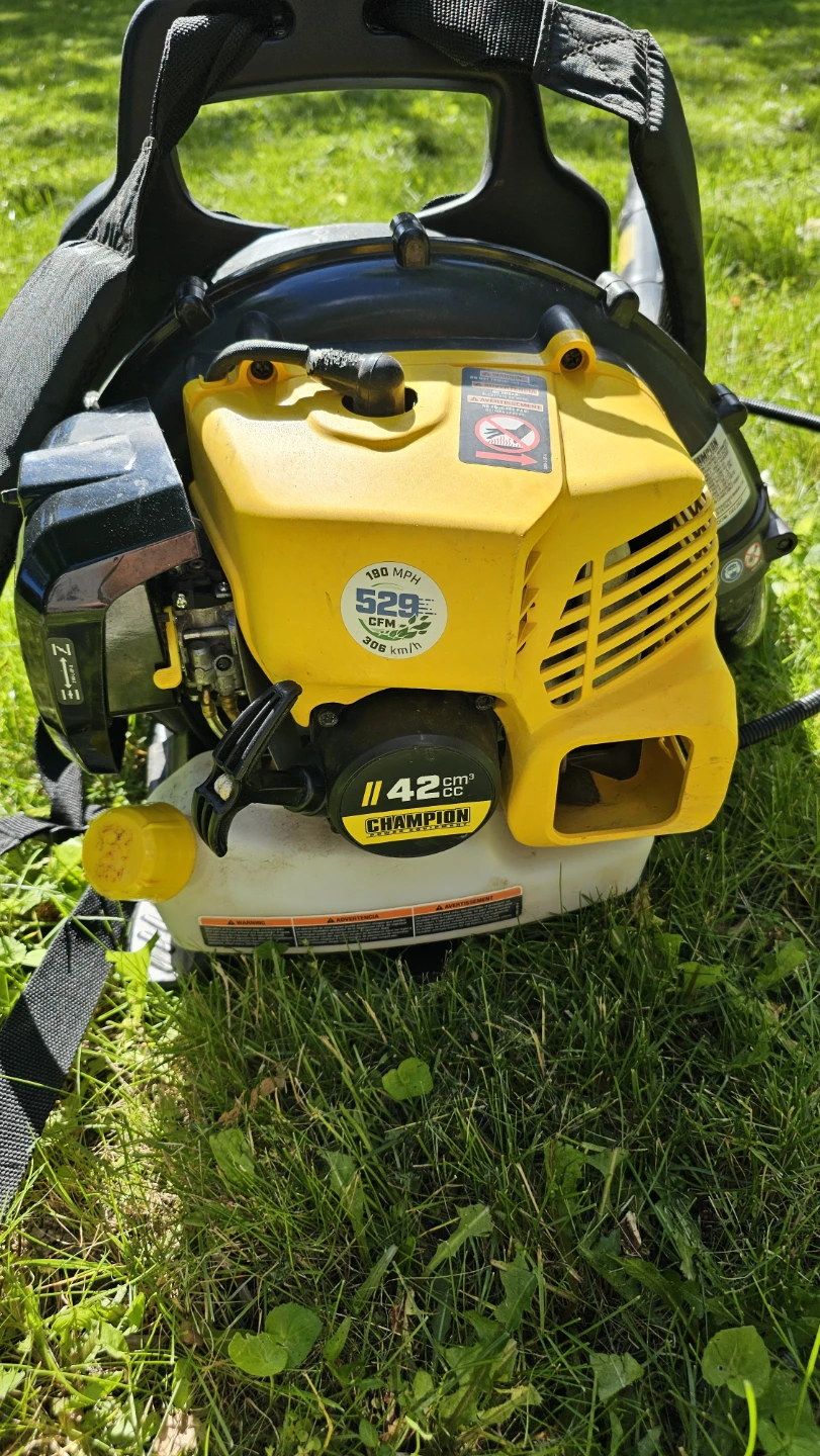 Champion Backpack Leaf Blower 42cc