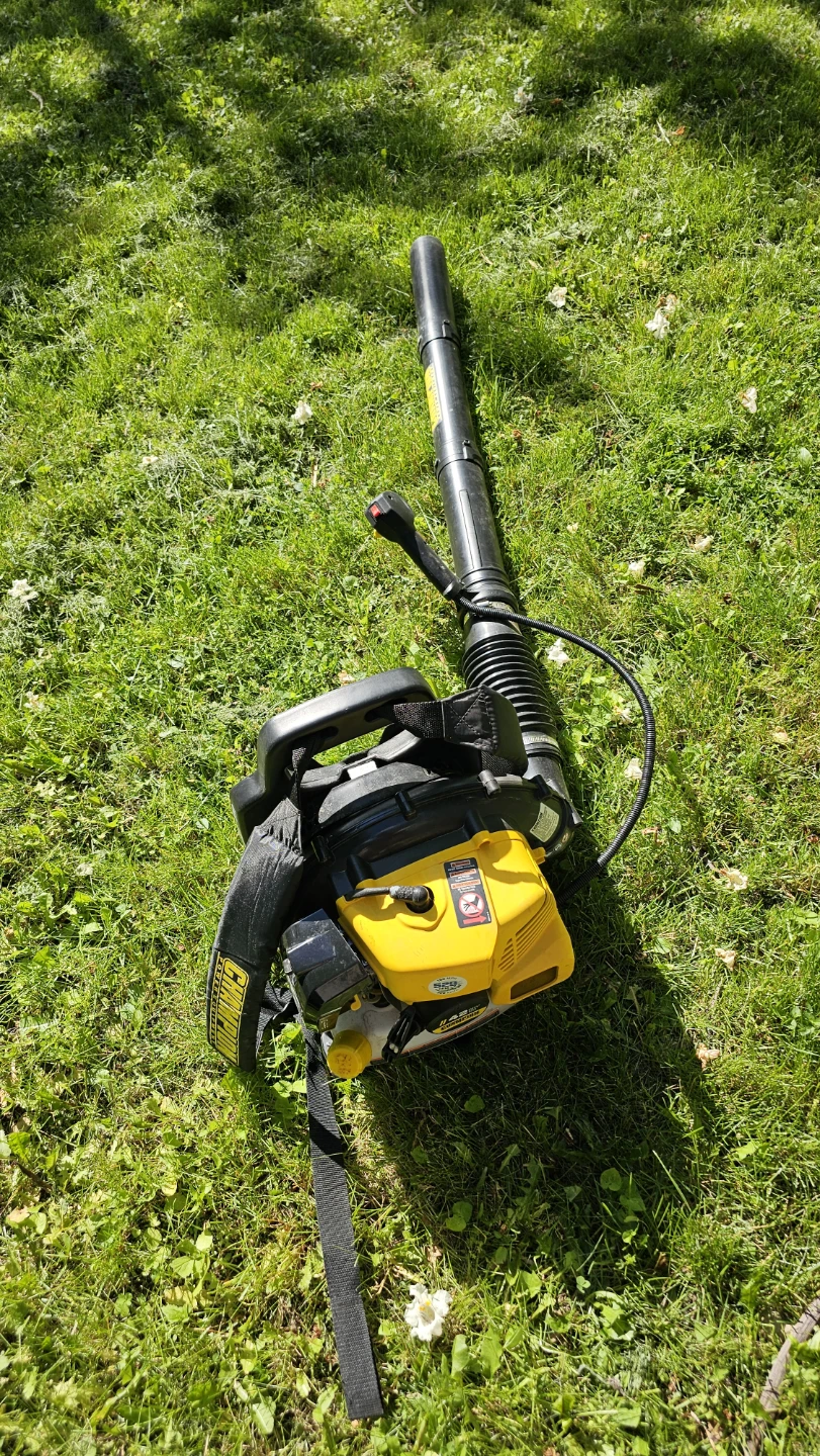 Champion Backpack Leaf Blower 42cc - photo 2