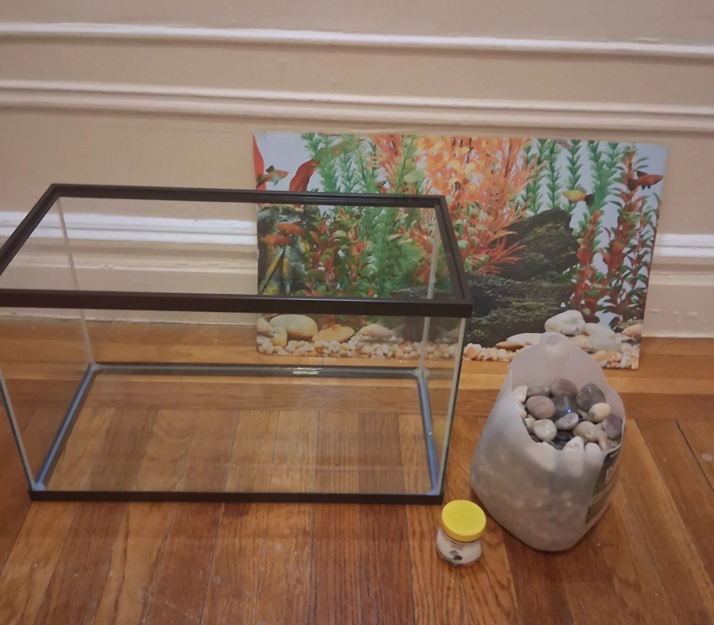 Aquarium Tank - 10 Gallon - photo 2