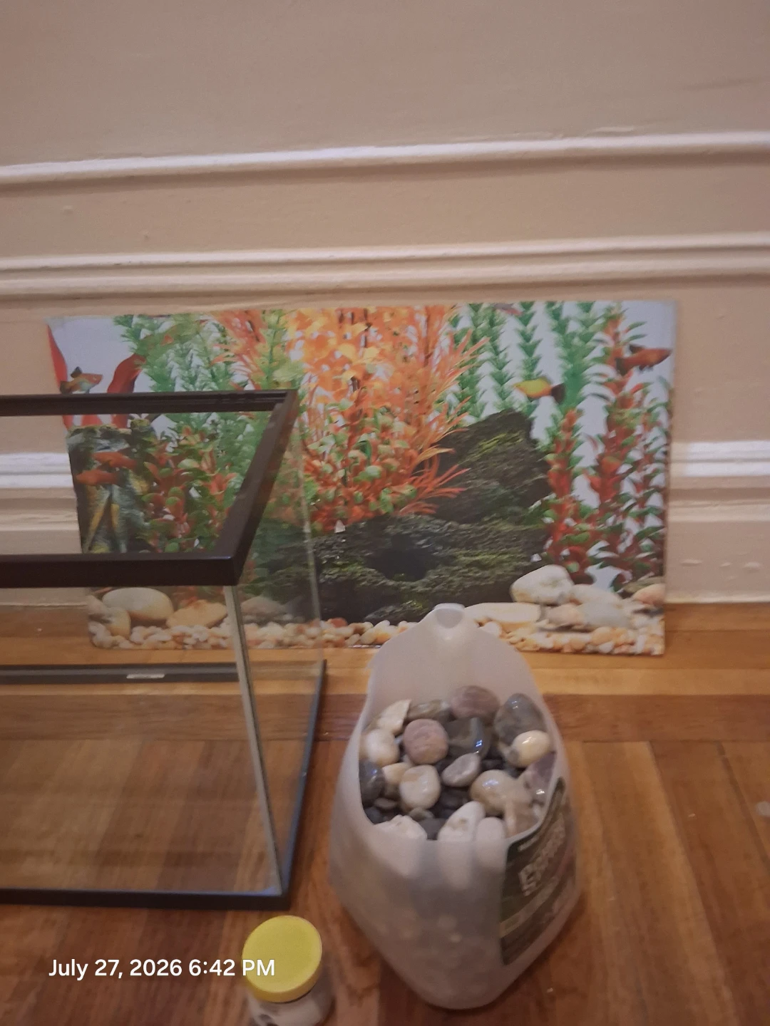 Aquarium Tank - 10 Gallon - photo 3