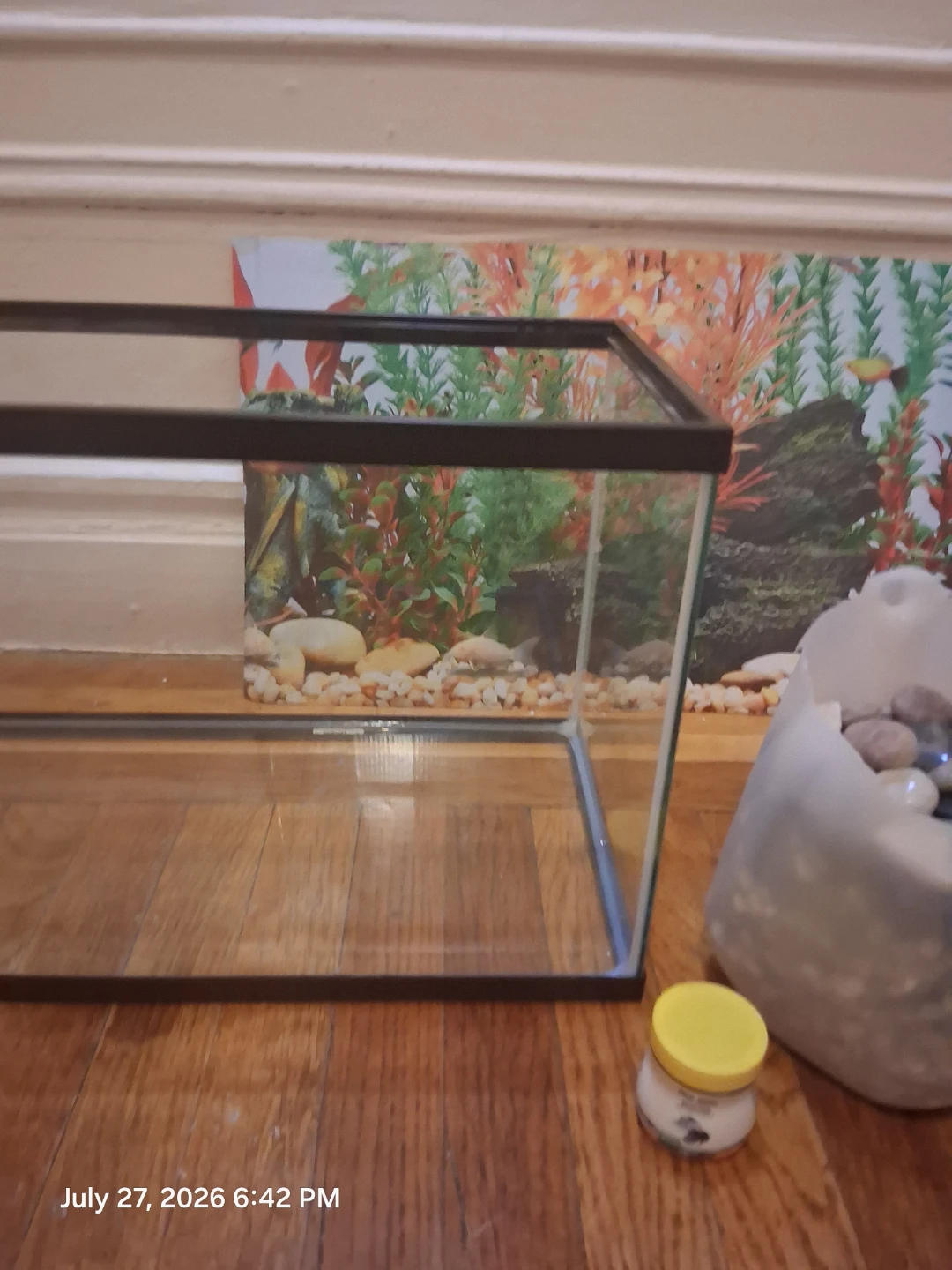 Aquarium Tank - 10 Gallon - photo 4