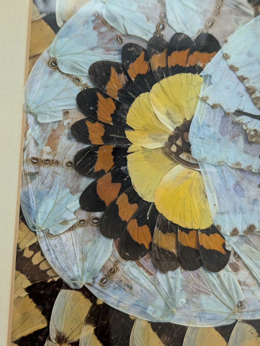Vintage Real Butterfly Wing Moth Kaleidoscope Taxidermy Art - photo 3
