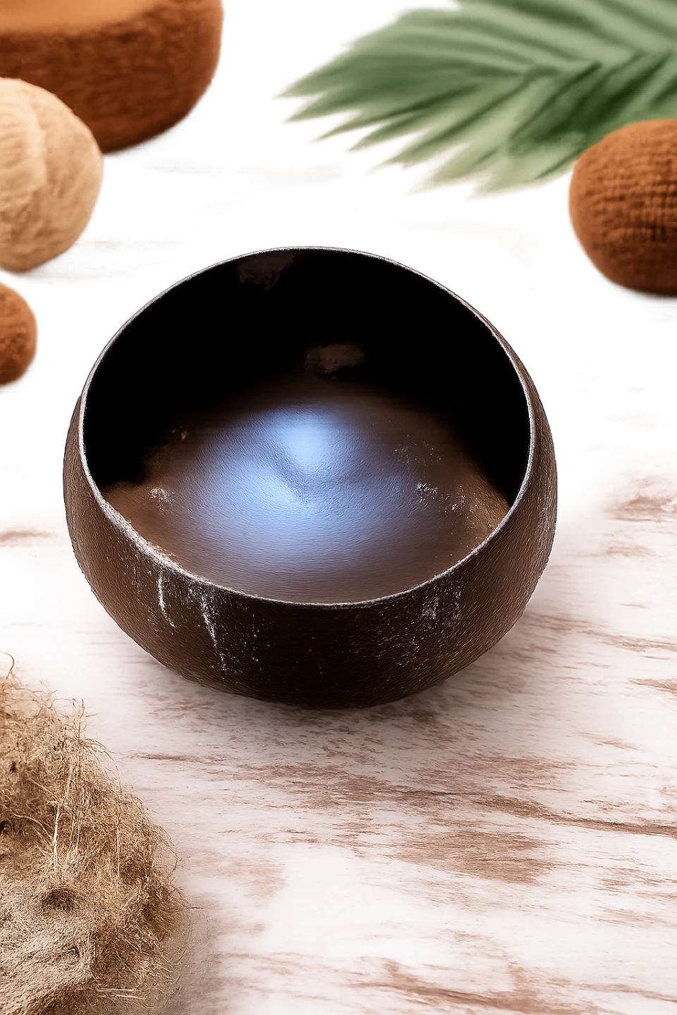 Natural Coconut Shell Bowl