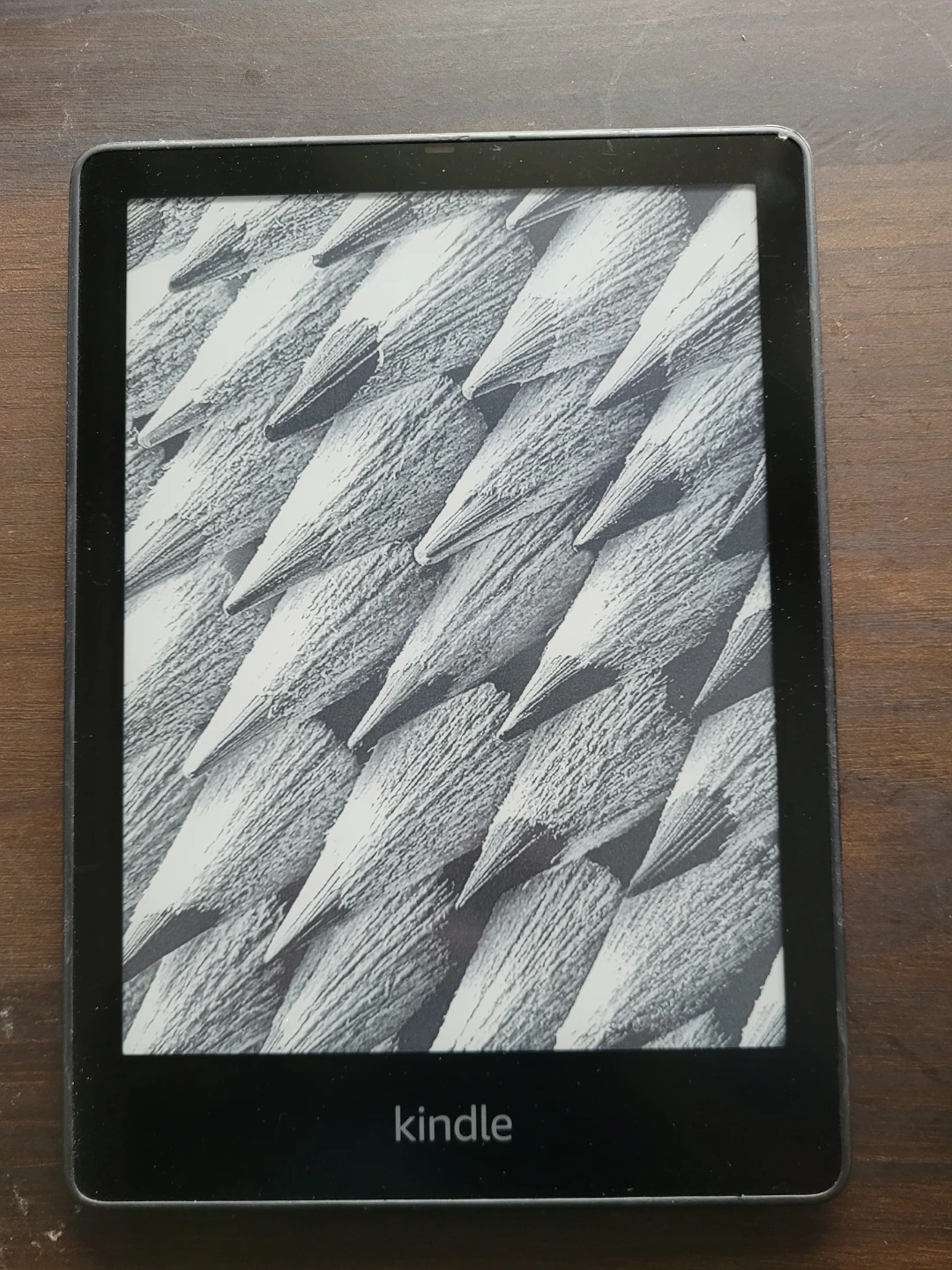 Amazon Kindle E-Reader