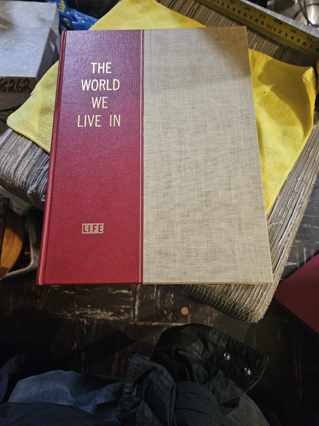 The World We Live In Life Book - photo 2