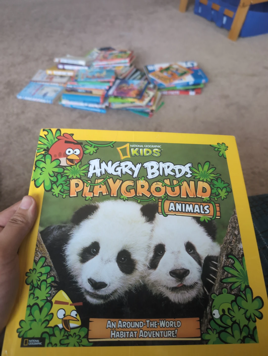 National Geographic Kids Angry Birds Playground Animals Book