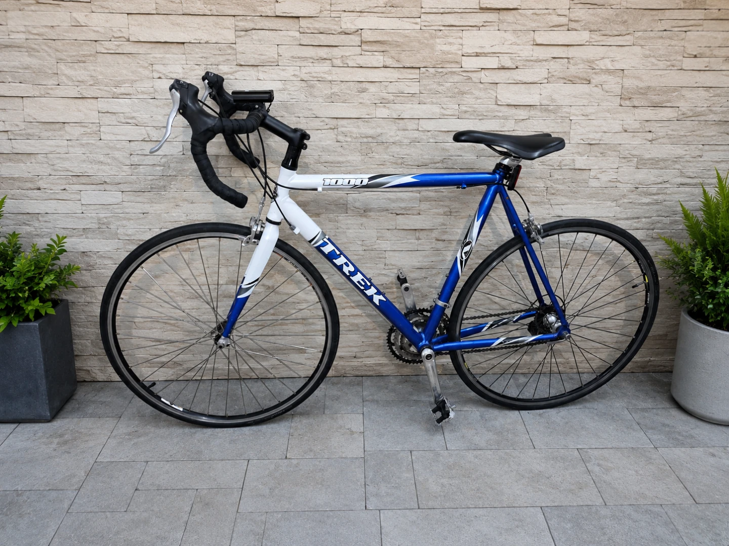 Trek 1000 Road Bike