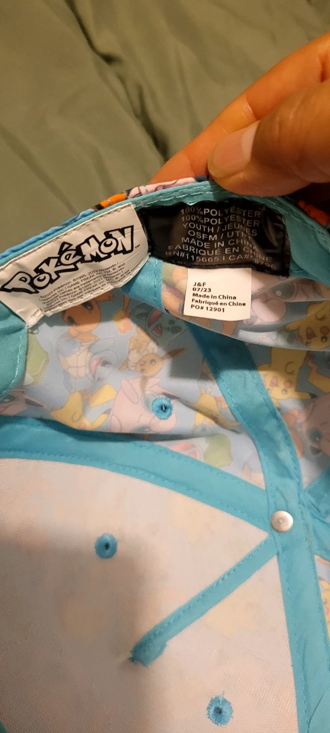 Pokémon Youth Snapback Hat - photo 4