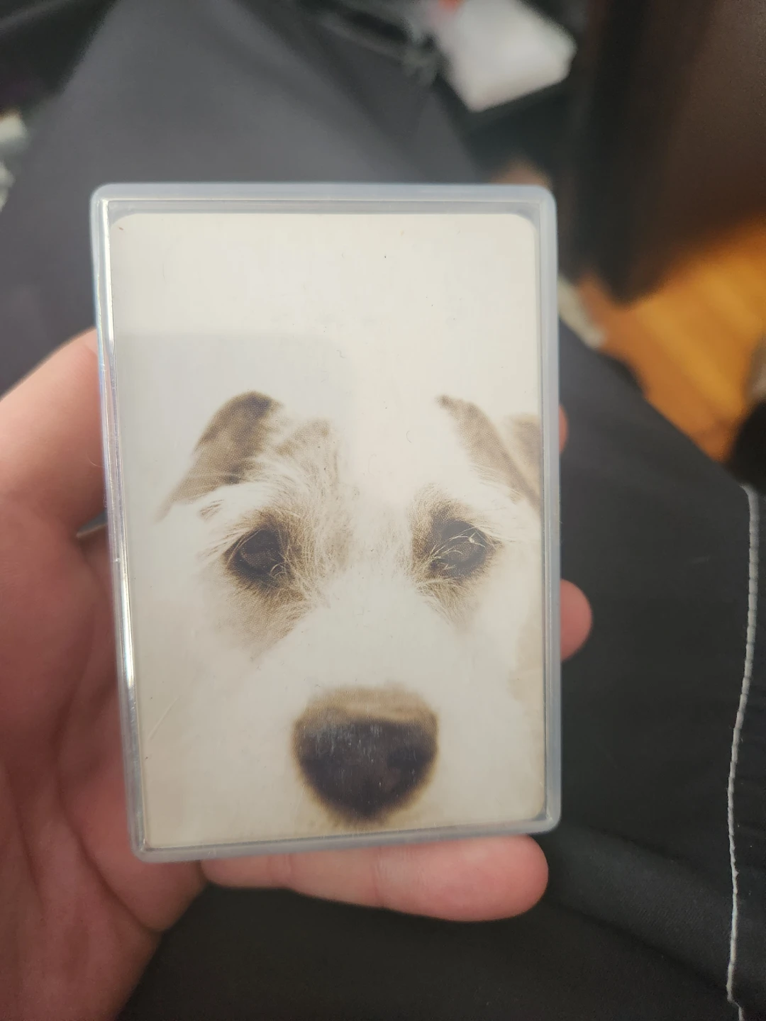 Dog Playing Cards - photo 2