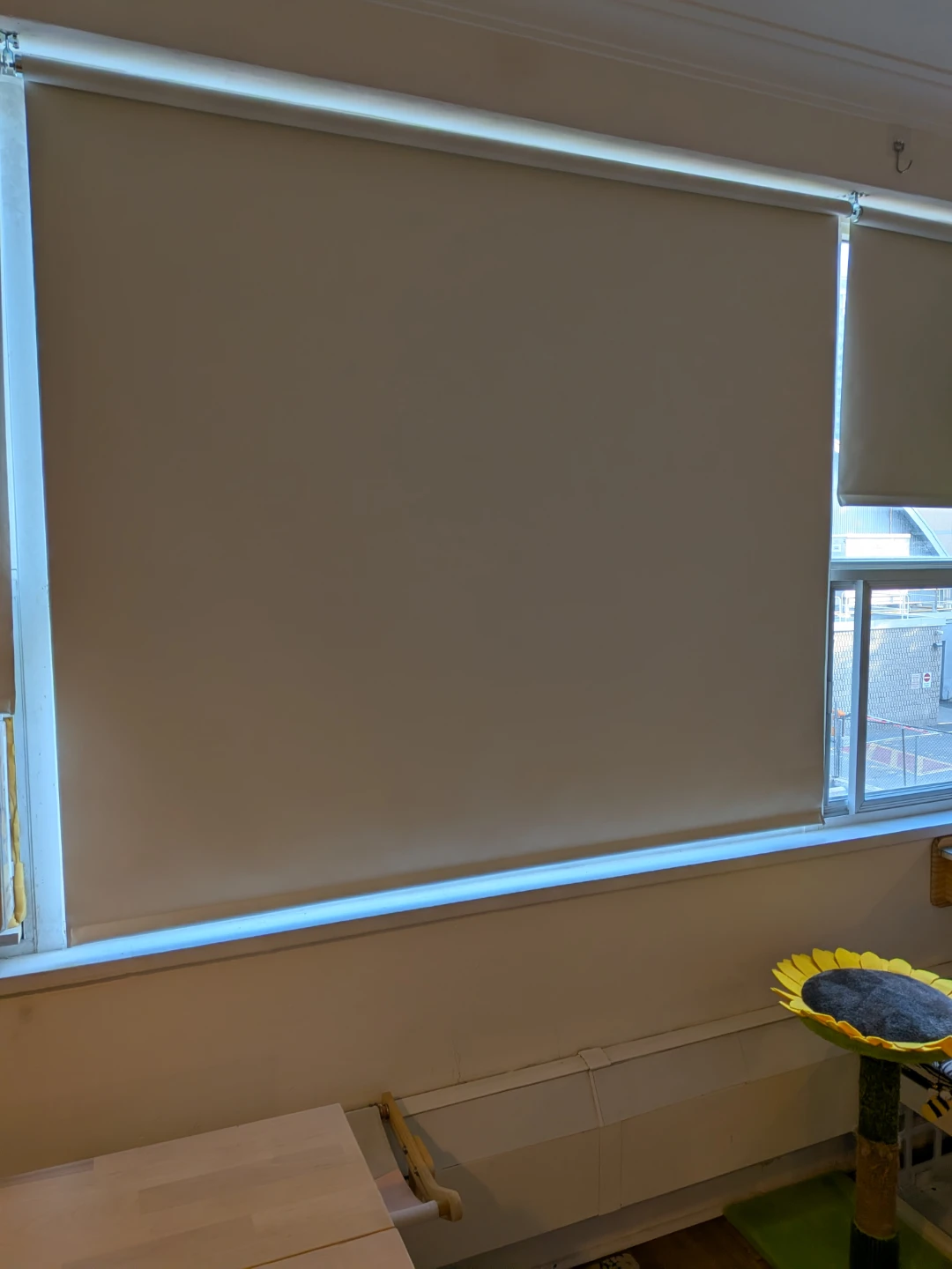 New blackout blinds