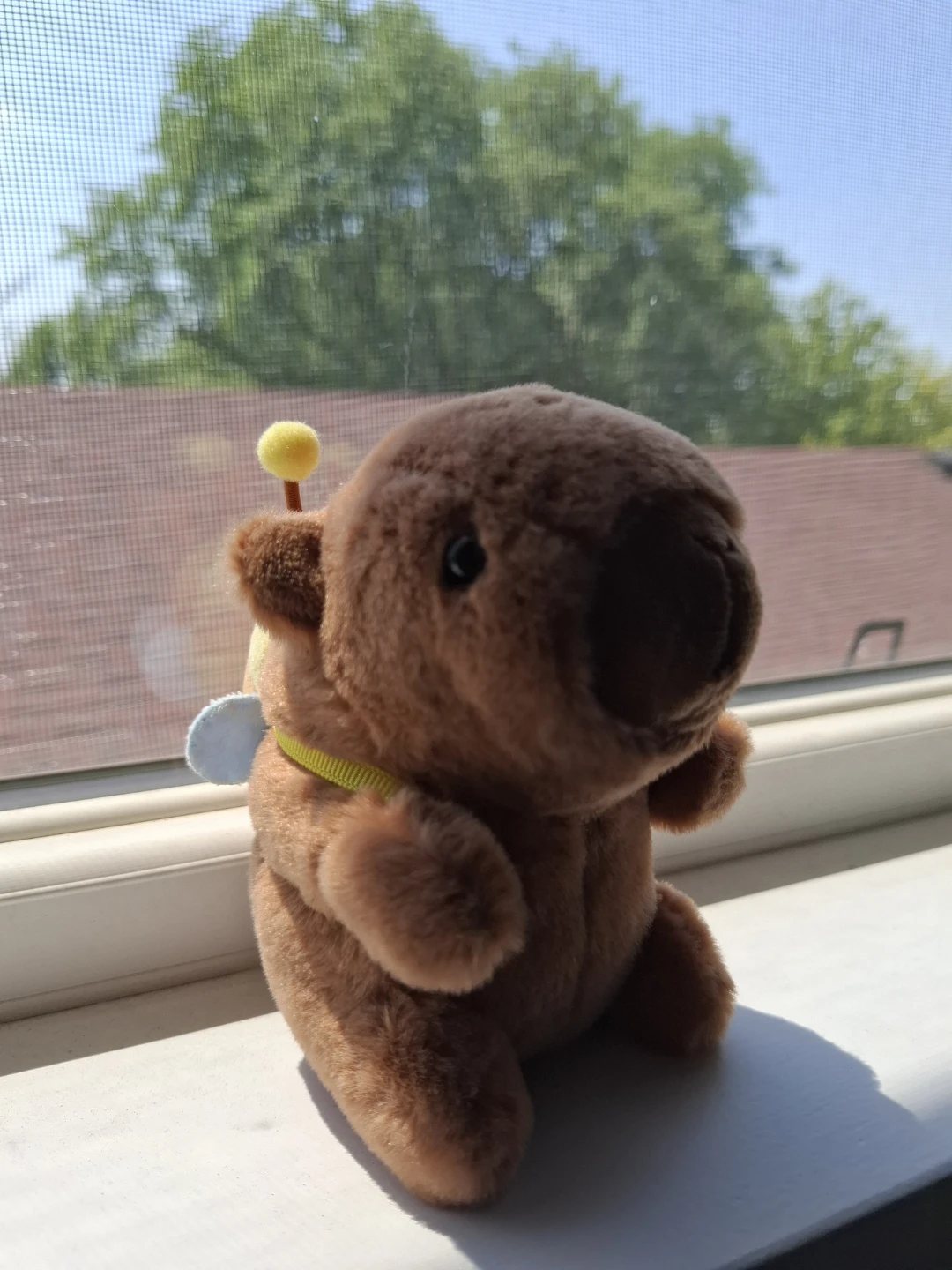 Brown Plush Capybara keychain to carry