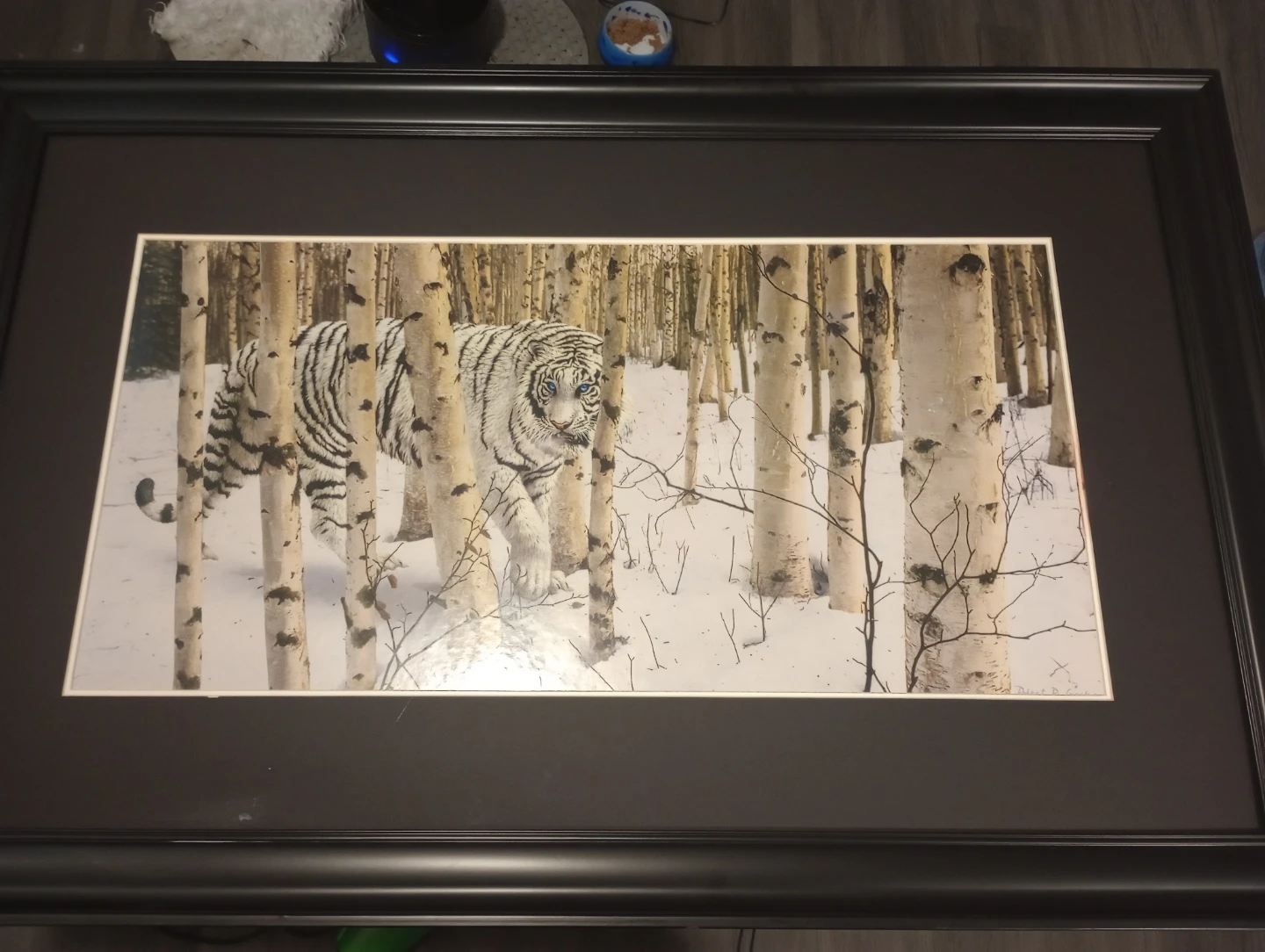 Framed White Tiger Art Print