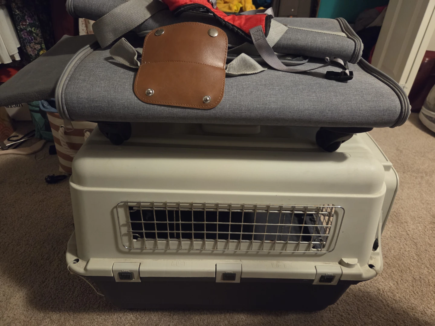 Plastic kennel, Pet Carrier and Harness