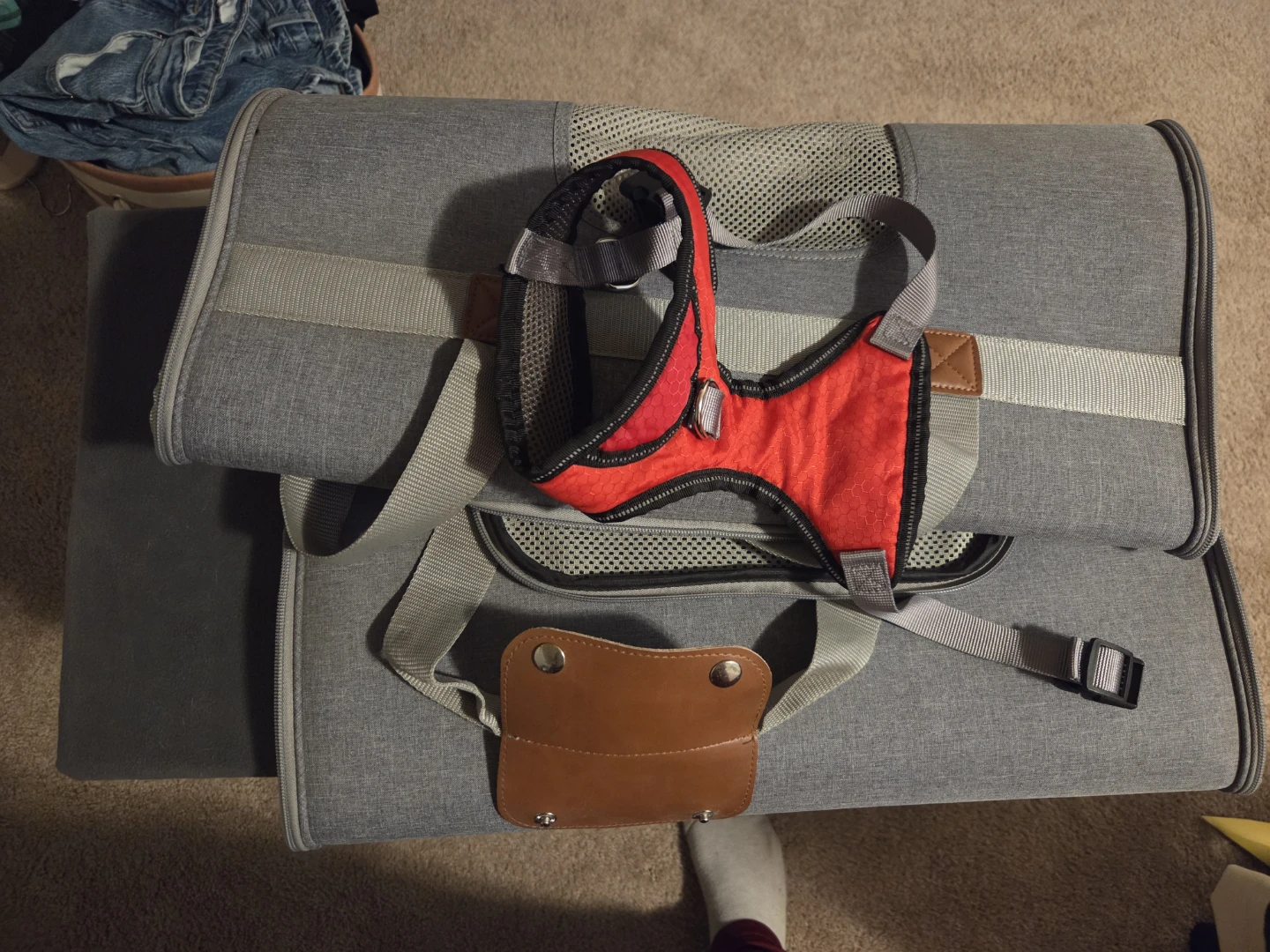 Plastic kennel, Pet Carrier and Harness - photo 2