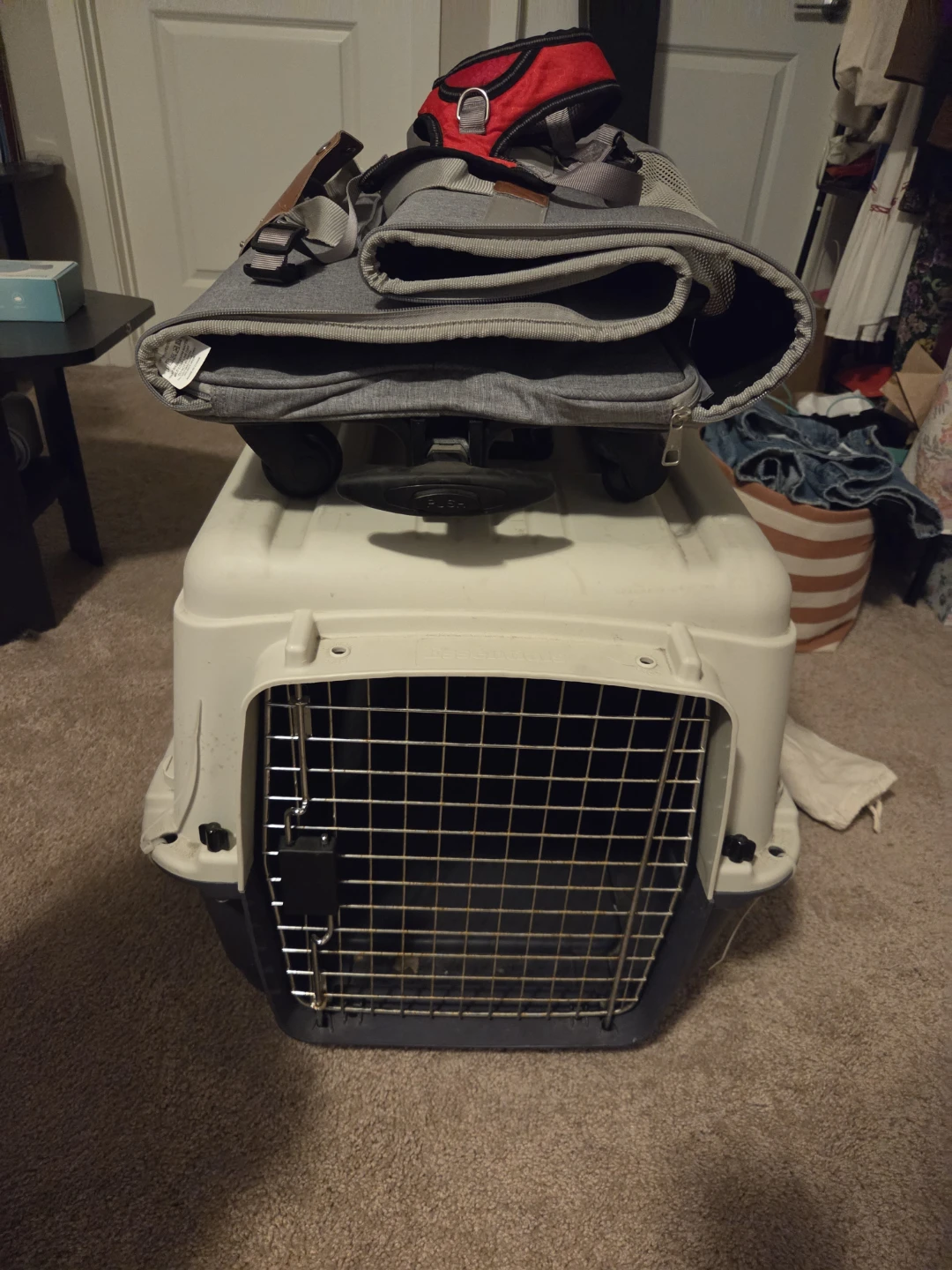 Plastic kennel, Pet Carrier and Harness - photo 3