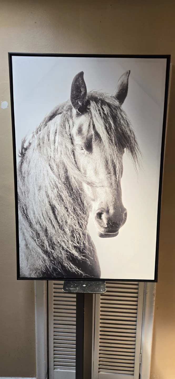Horse Portrait - photo 2