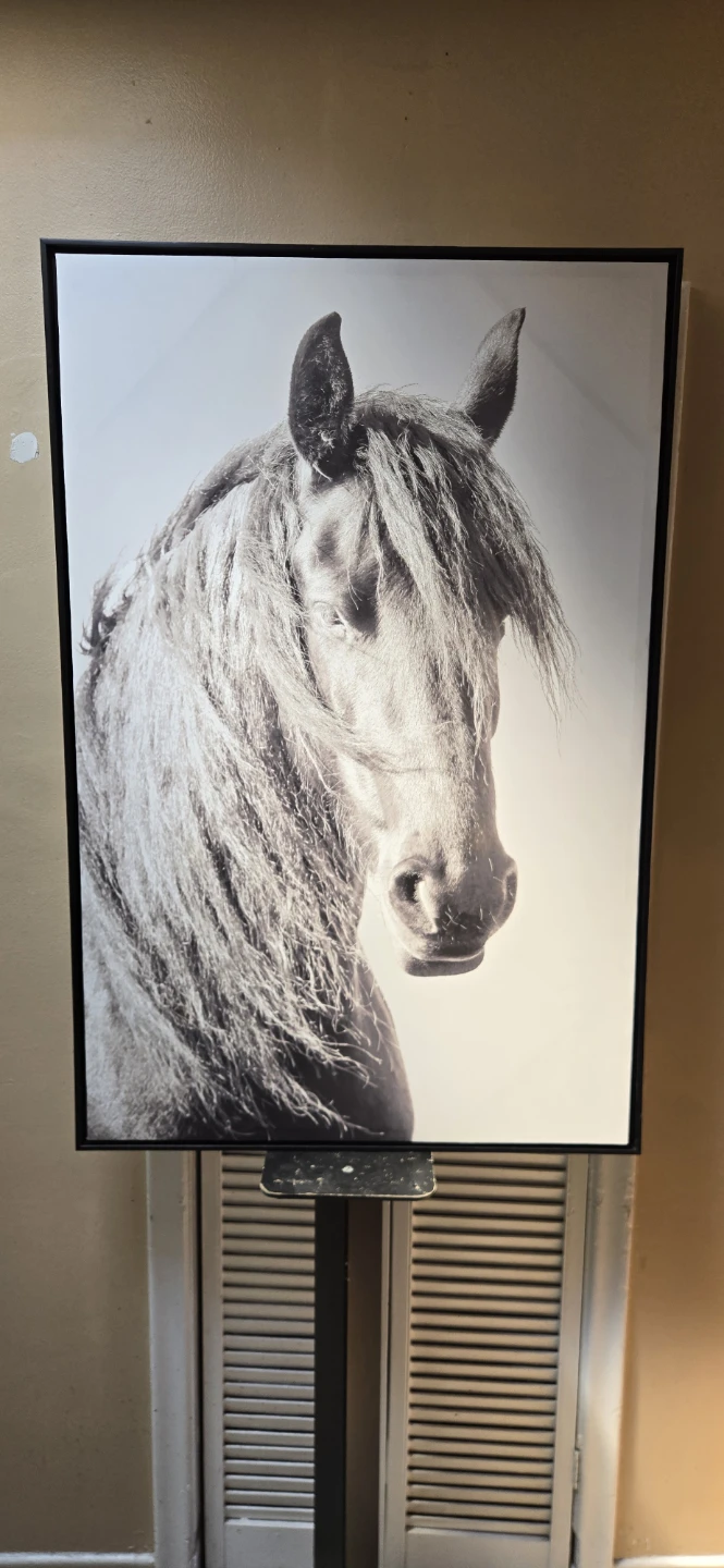 Horse Portrait