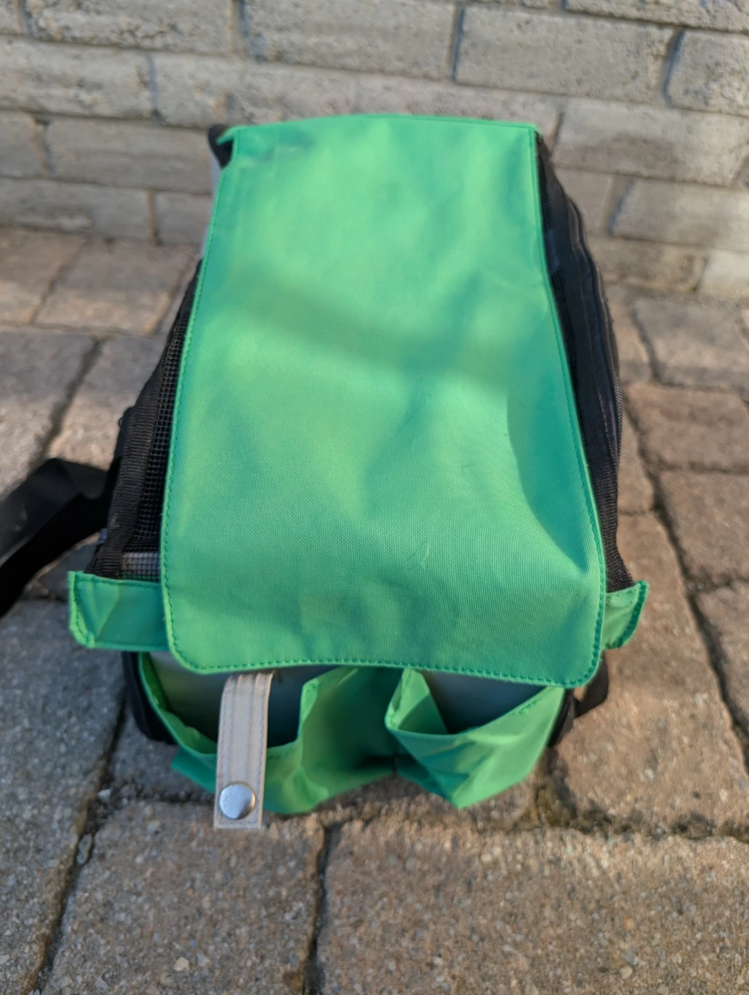 Green Pet Carrier with Cross Ventilation - photo 2