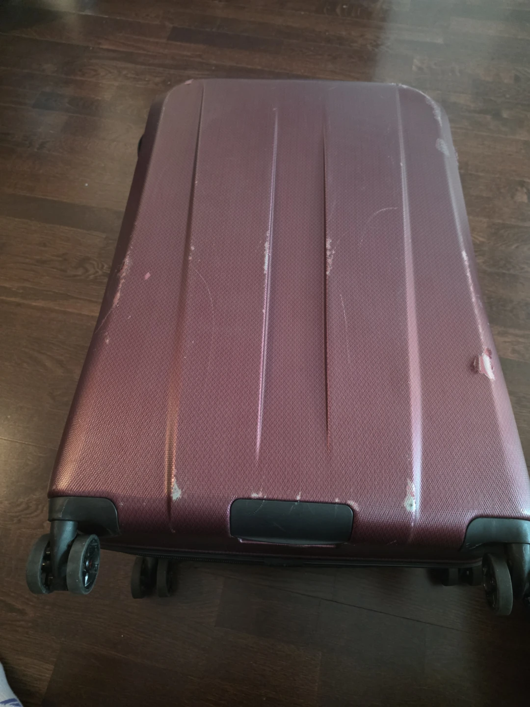 Ricardo Suitcase - photo 4