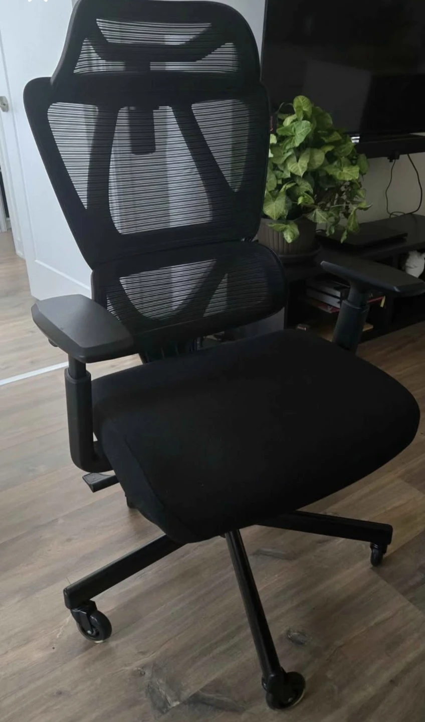 ProtoArc - Ergonomic Mesh Office Chair