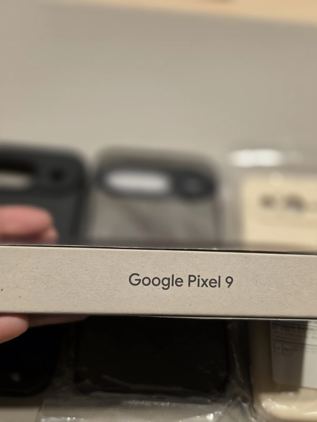 Google Pixel 9 Phone and Cases - photo 3