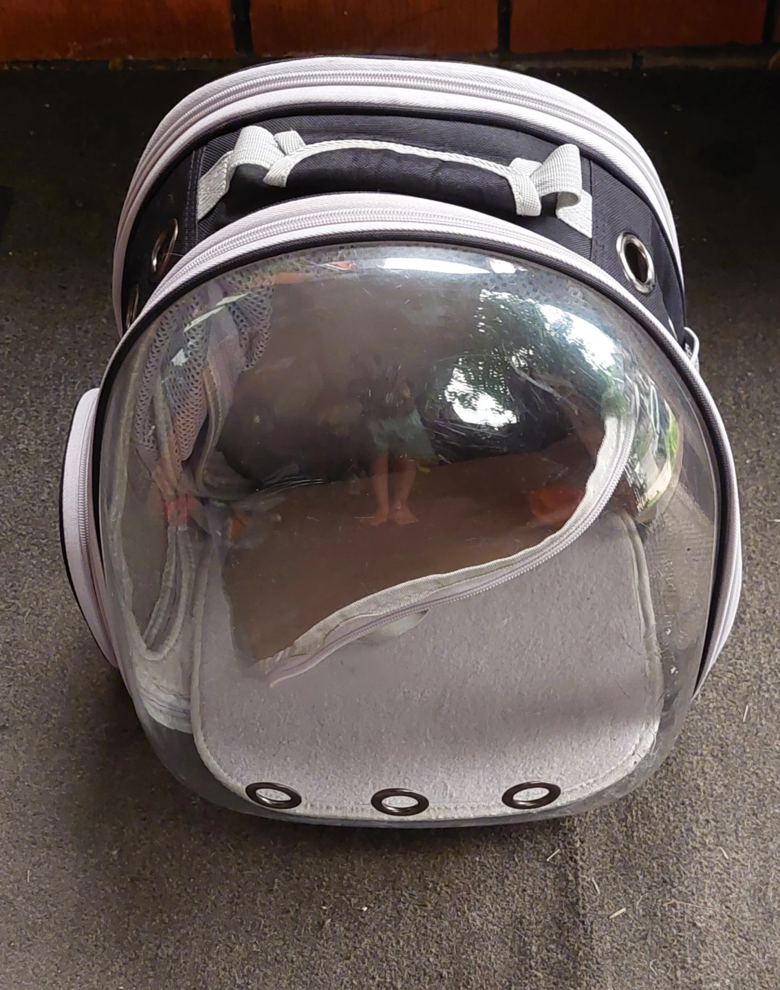 Pet Carrier Backpack with Bubble Dome