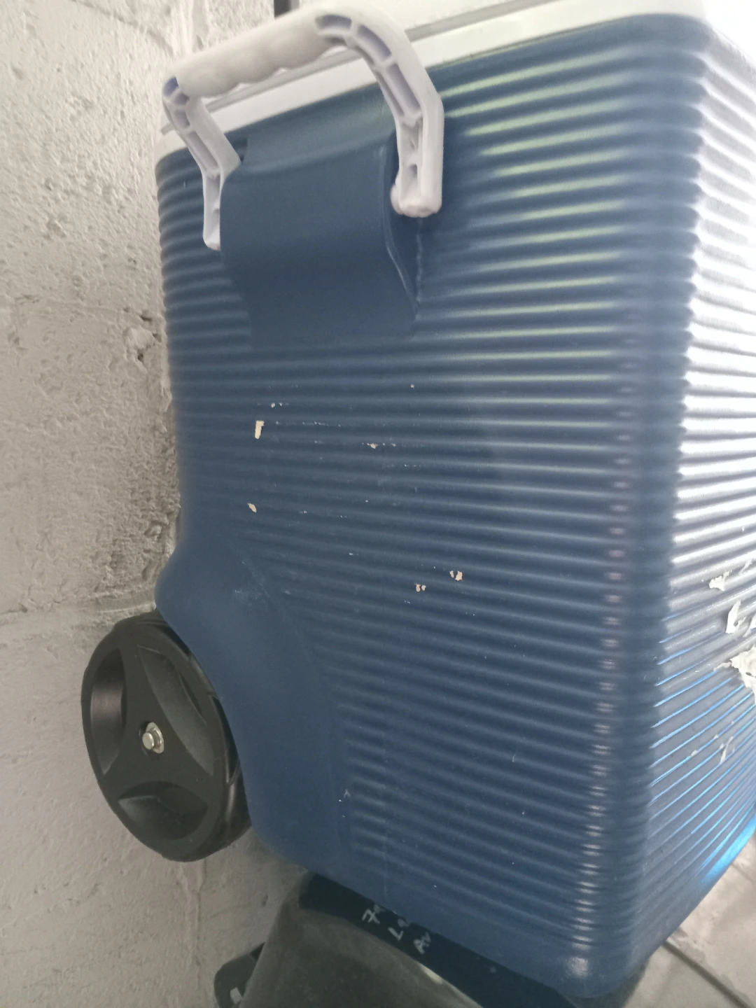 Rubbermaid Cooler with Wheels - photo 3