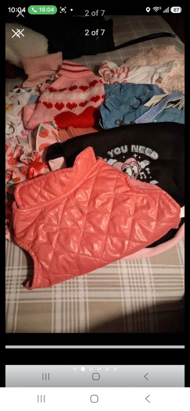 Dog Clothes Bundle female - photo 2