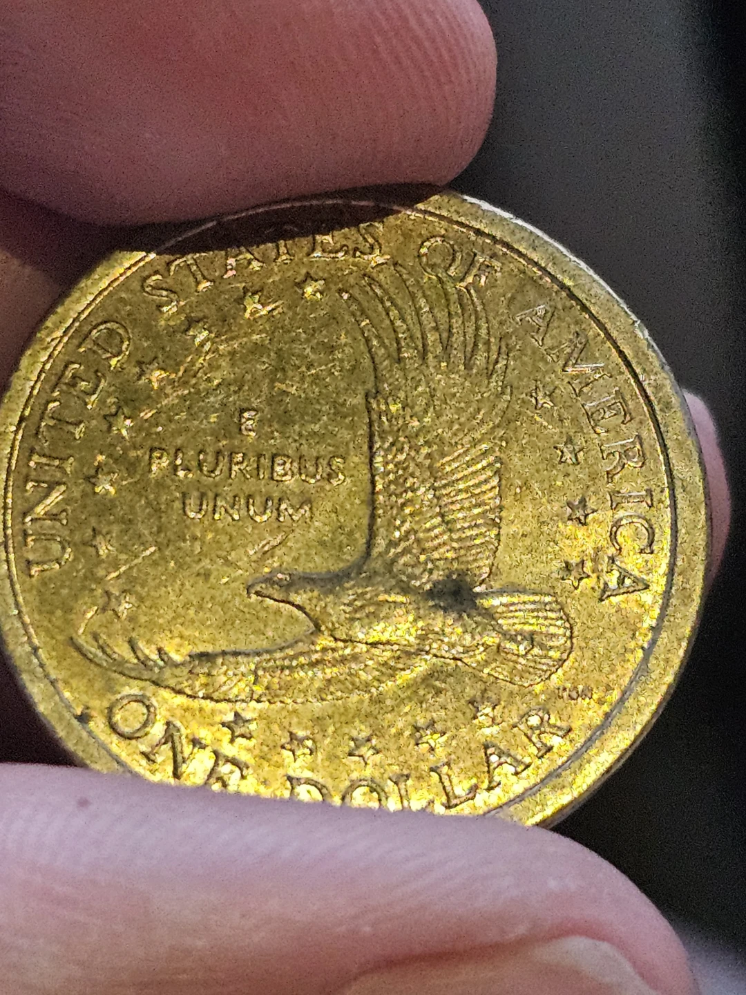 2001 Sacagawea Dollar Coin - photo 2