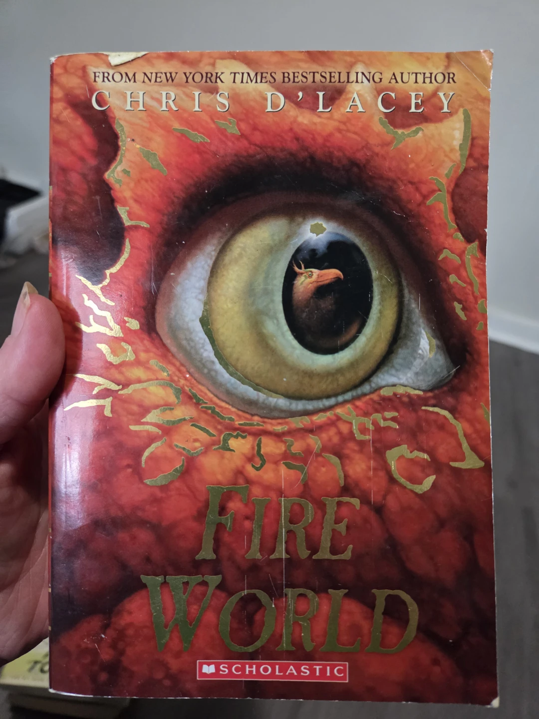 Books by Chris D'Lacey - photo 5