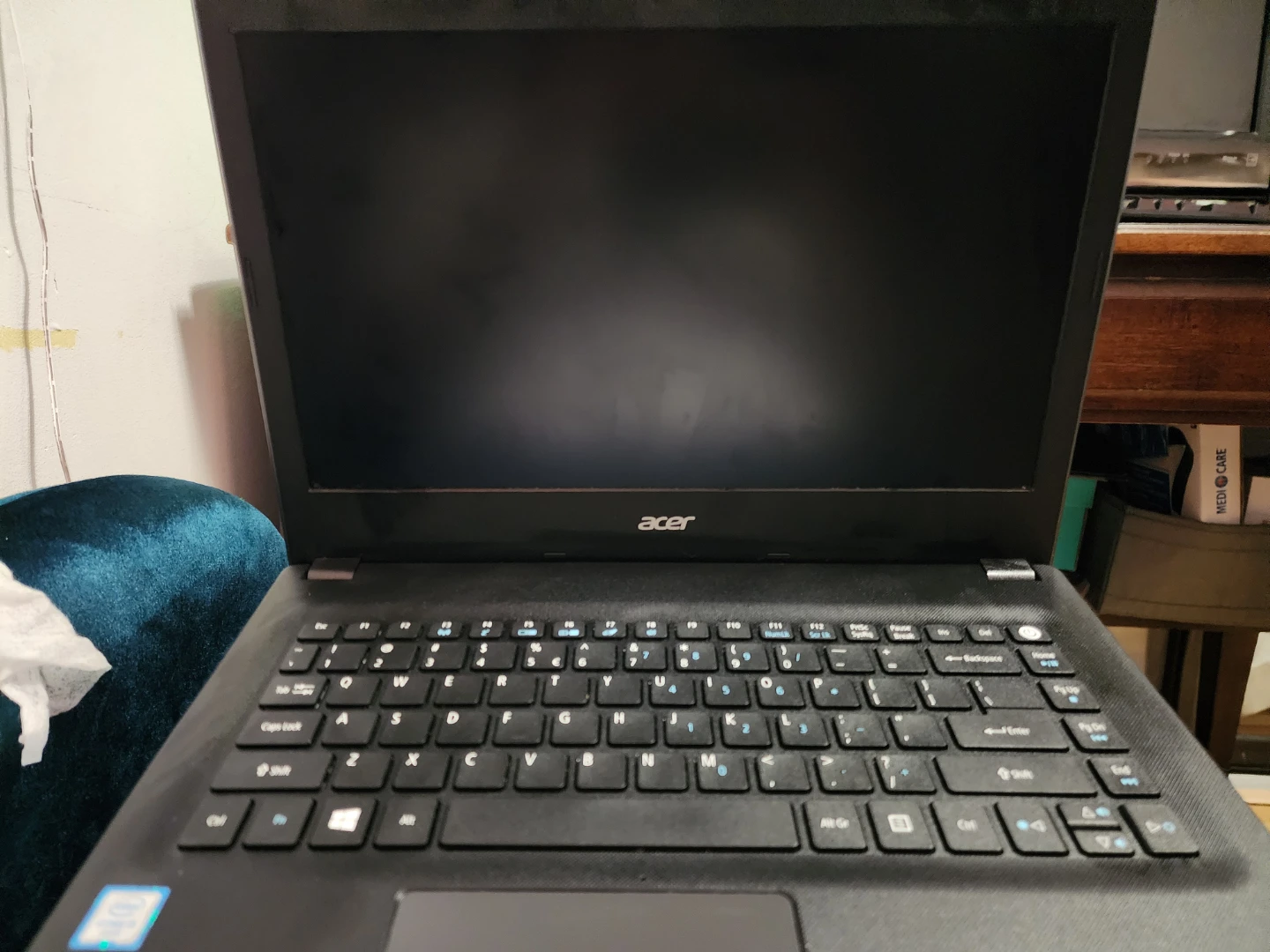 Acer crombok - photo 3
