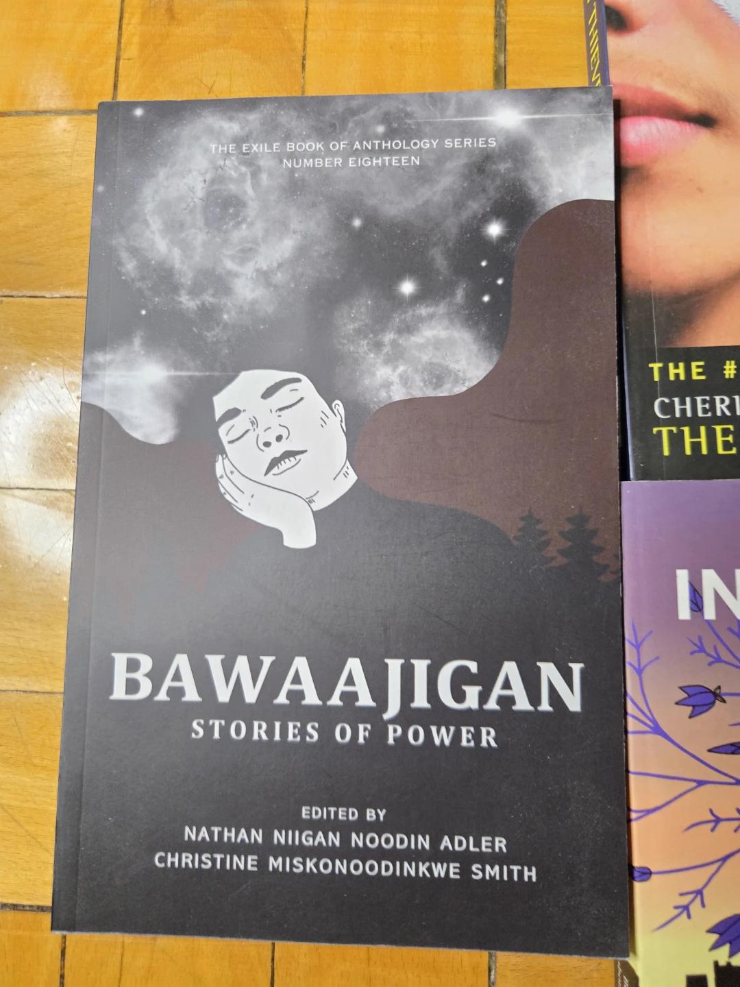 Indigenous Literature - photo 2