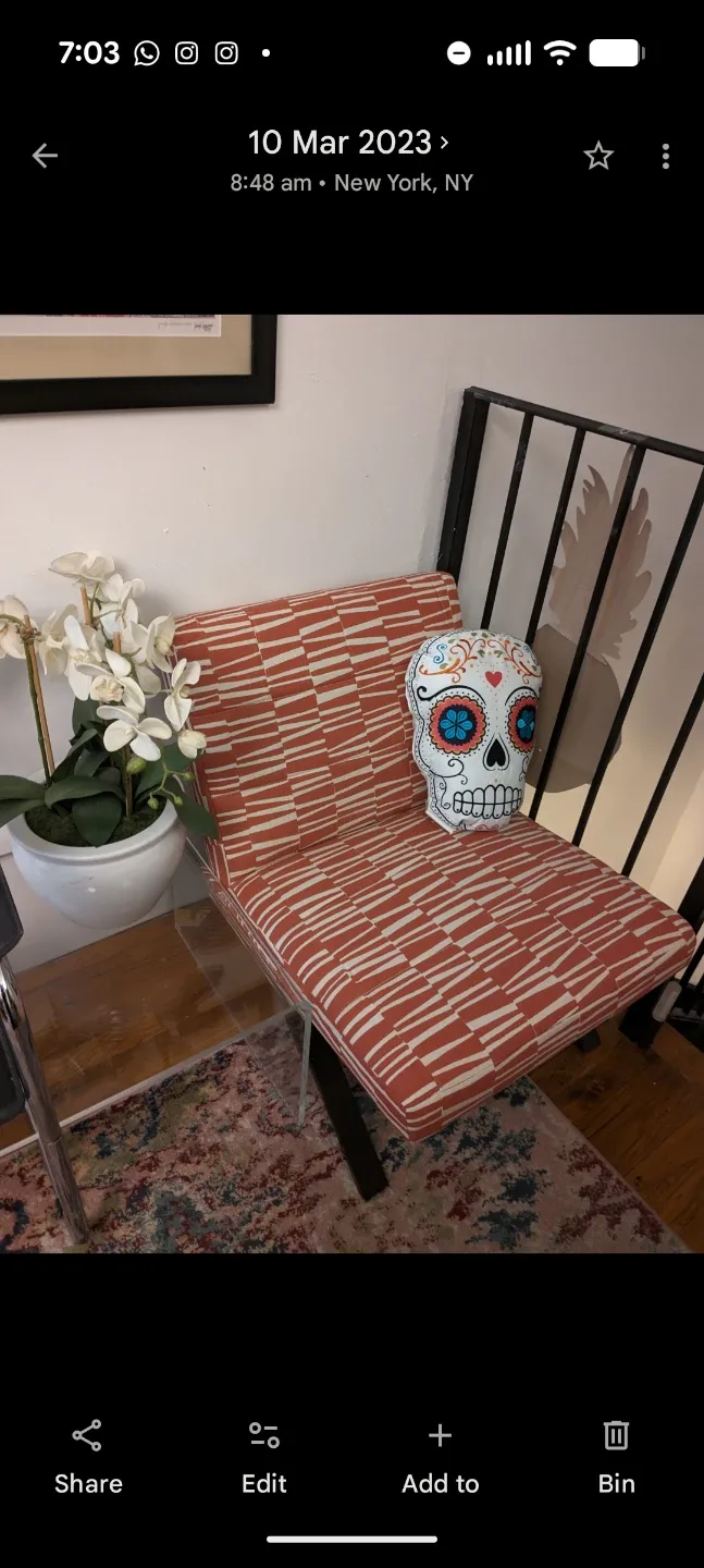 Two Accent Barcelona Chairs with Red and White Pattern