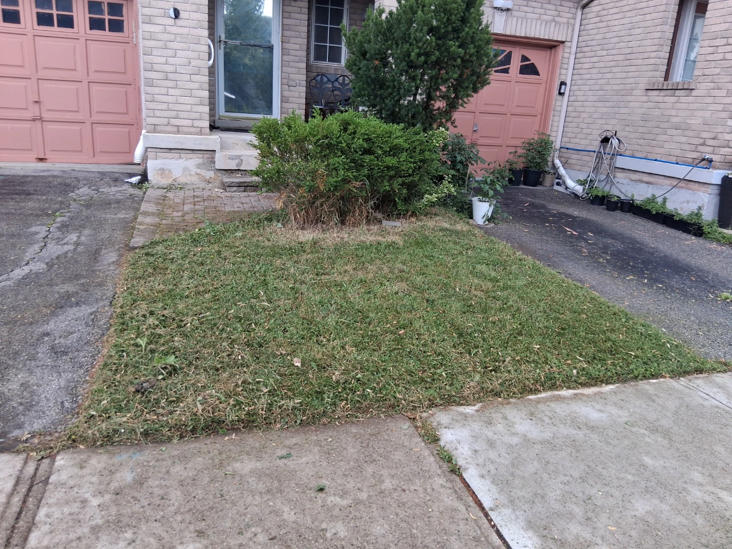 Cuting grass