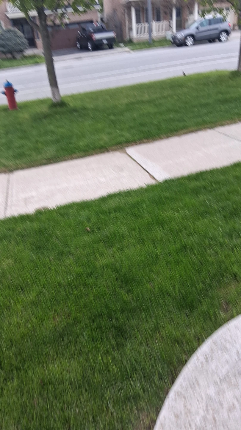 Cuting grass - photo 2