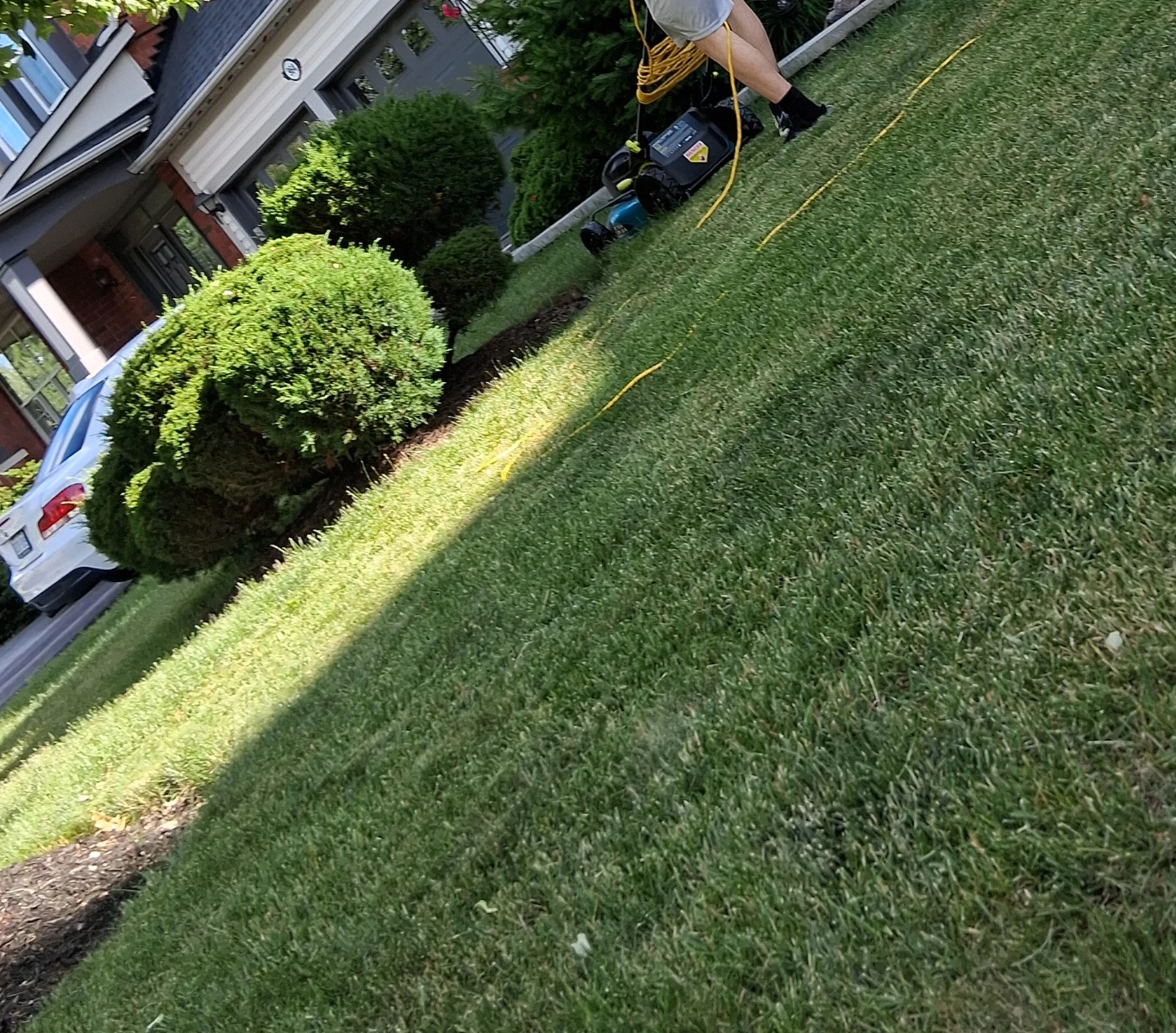 Cuting grass - photo 3