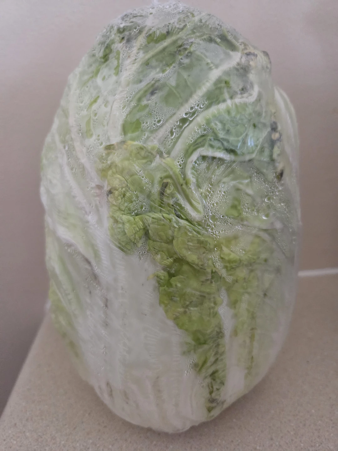 9" Asian Cabbage - photo 2