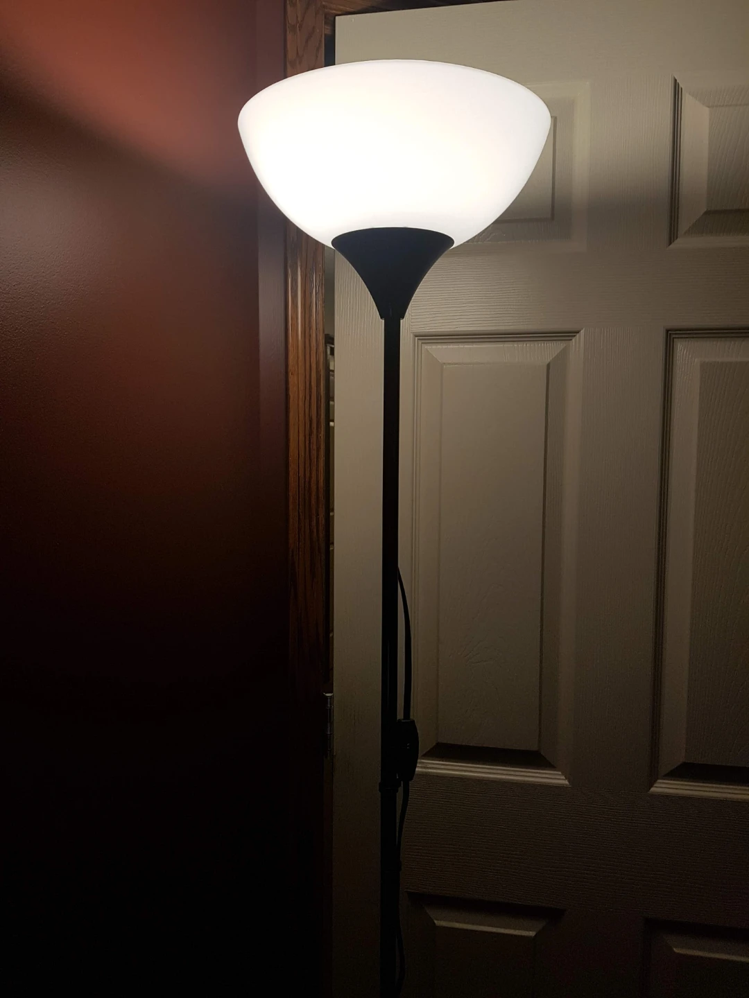 Black Floor Lamp with Frosted Shade