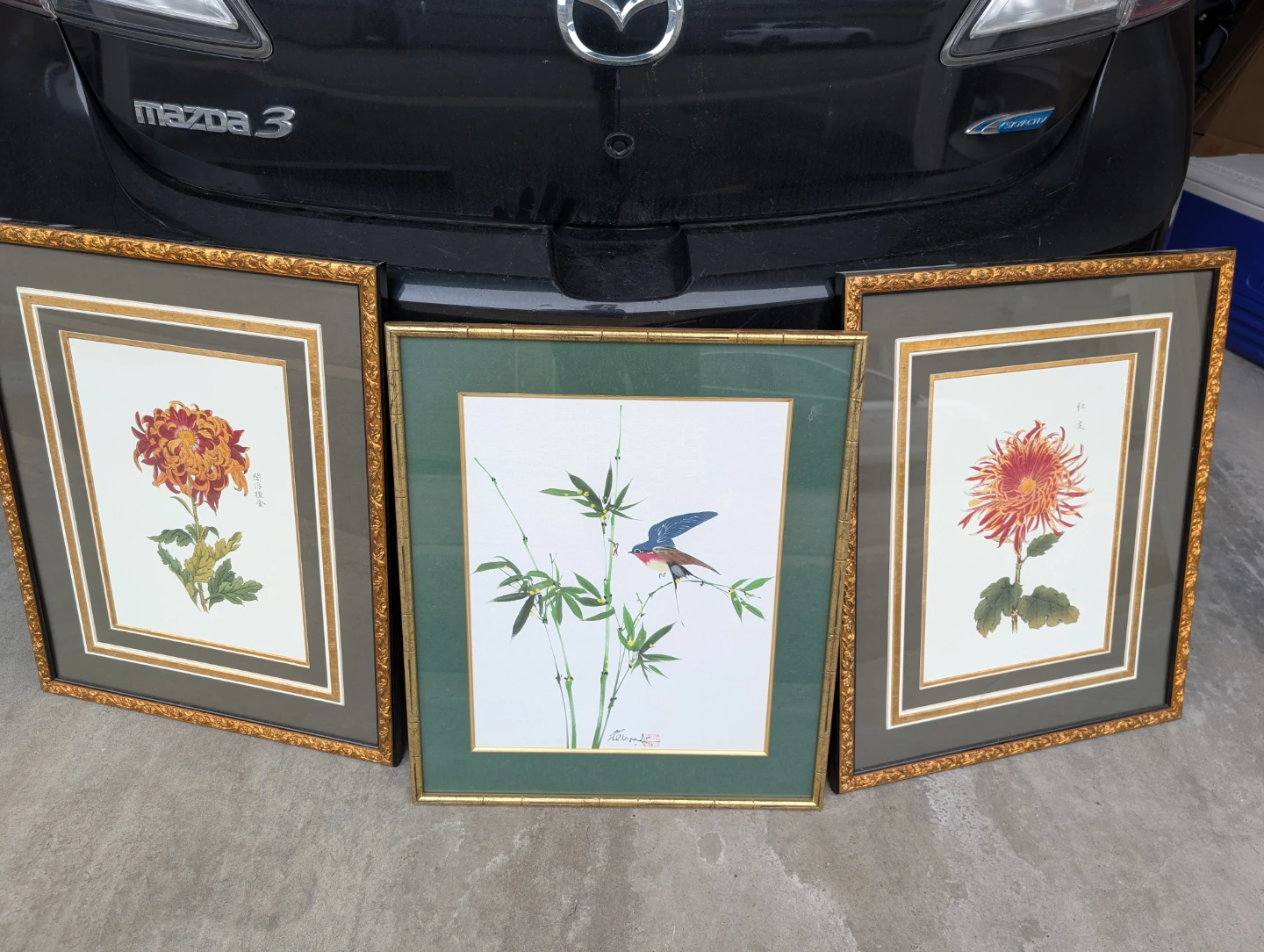 Set of 3 Framed Floral and Bird Art Prints