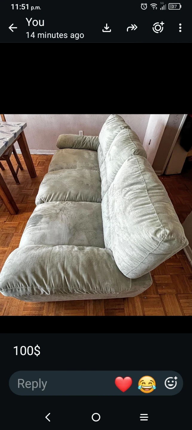 Light Green Padded Sofa Bed