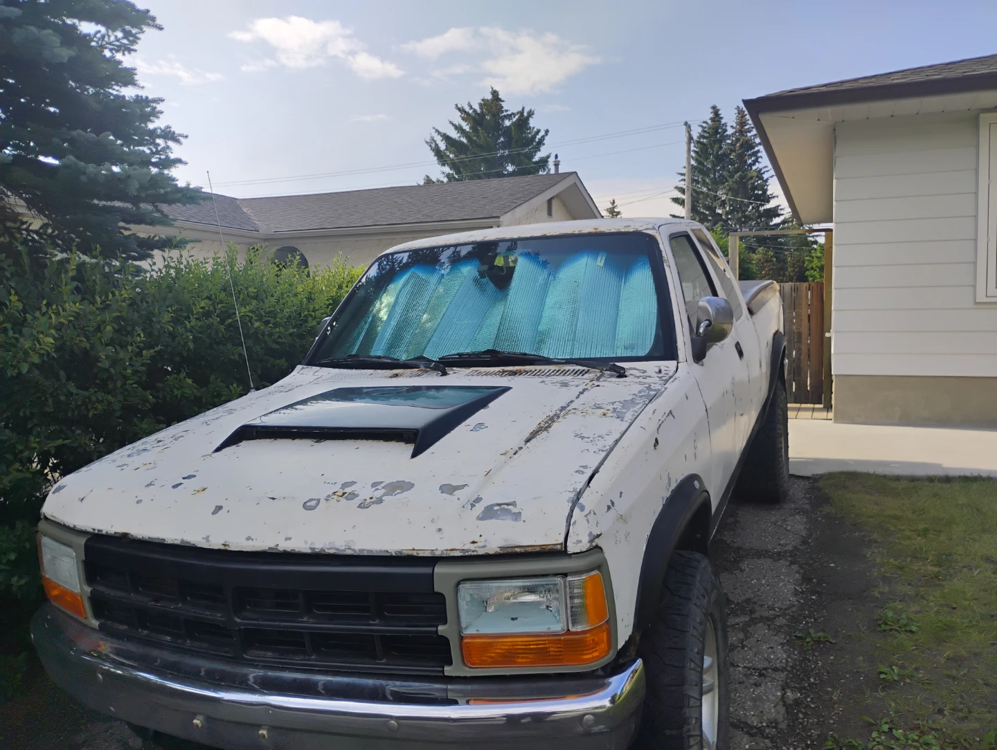 1992 Dakota 5.2 - photo 3