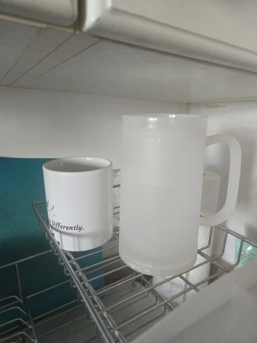 Frosted Plastic Mug 🍺