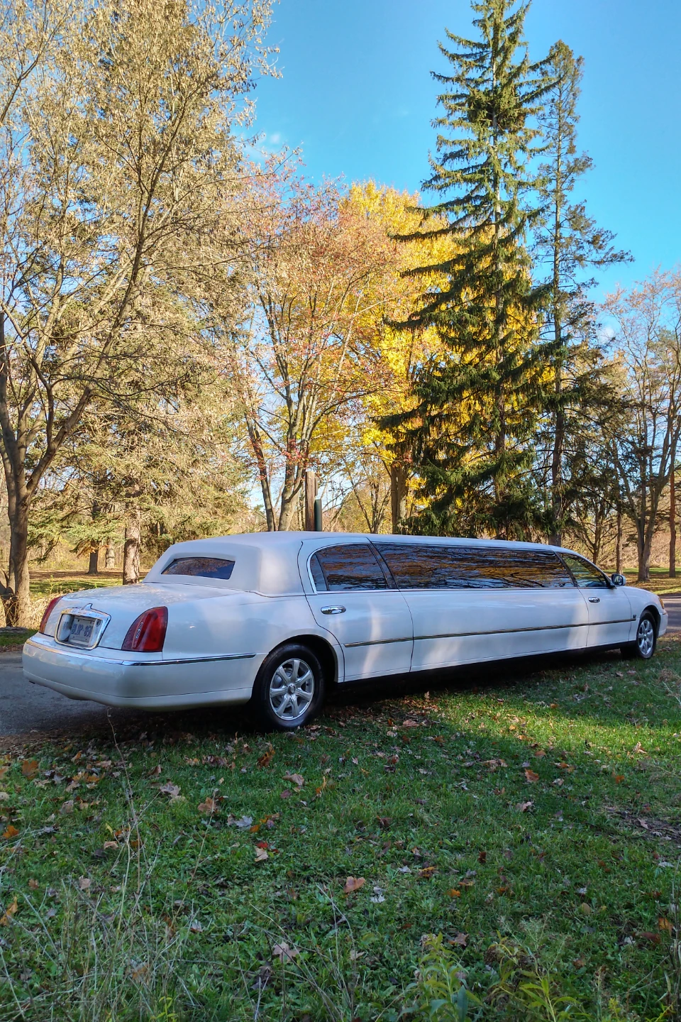 Stretch limousine for sale - photo 2
