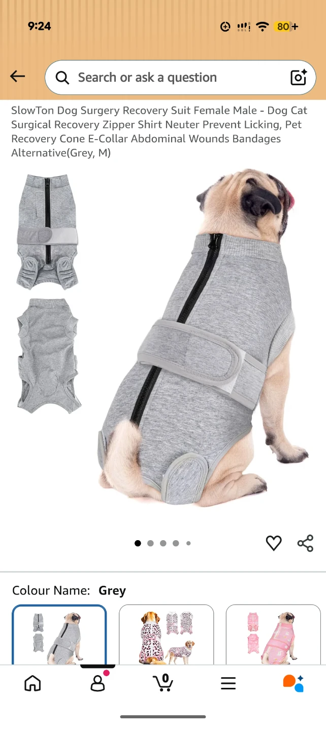SlowTon Dog Surgery Recovery Suit - Grey, Size M - photo 4
