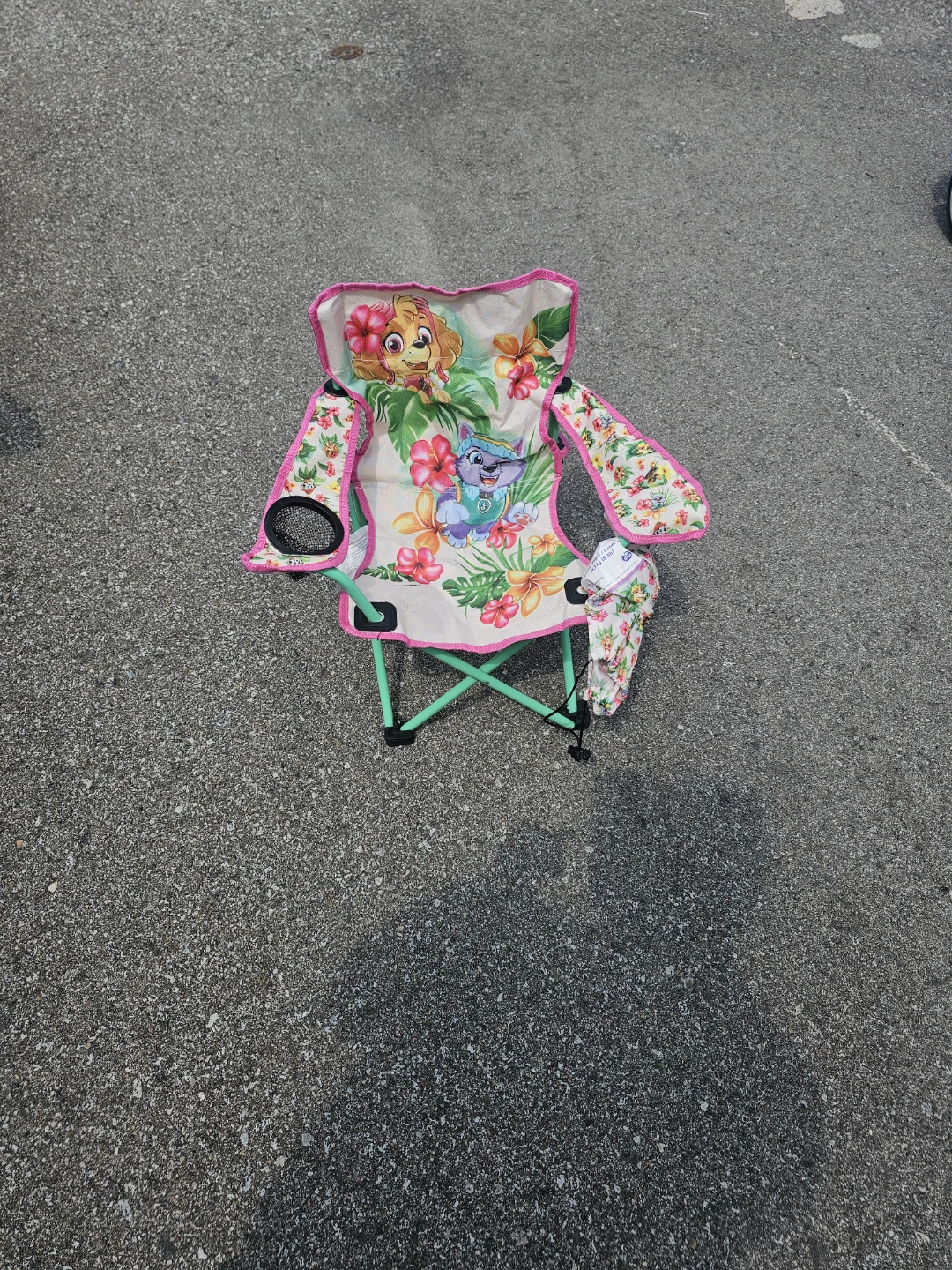 Kids Paw Patrol Folding Camp Chair