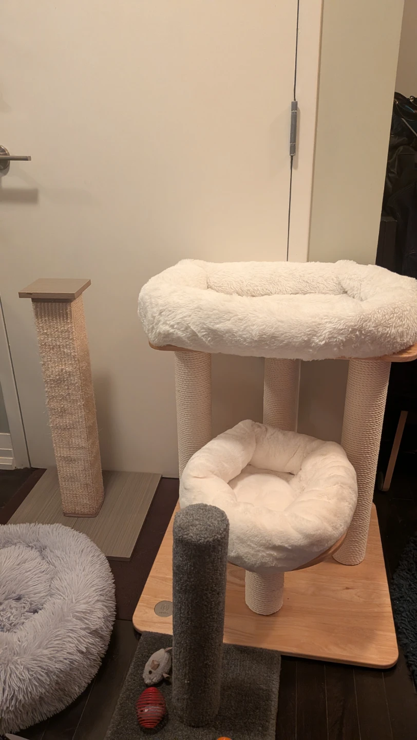 Cat Beds, Scratching Post & 5 Wheel Carrier Bundle - photo 3
