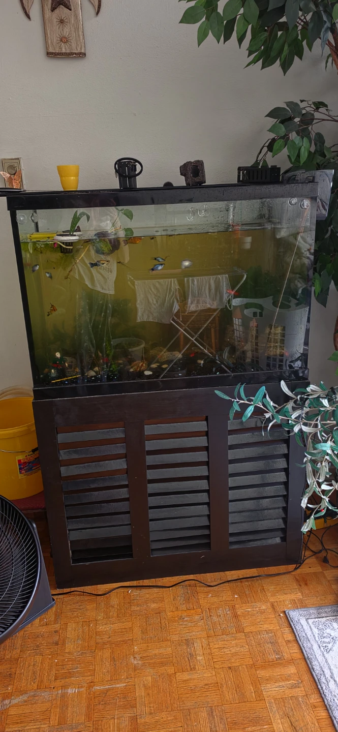 Aquarium Fish Tank with Stand