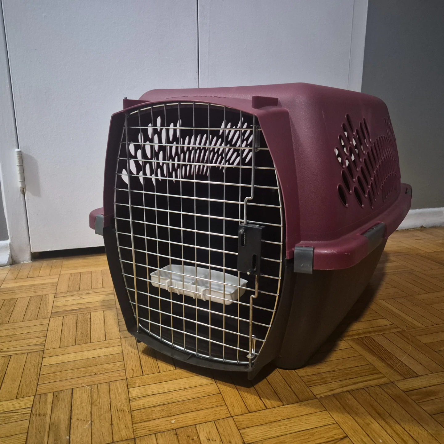 Petmate Pet Taxi Hard Shell Carrier